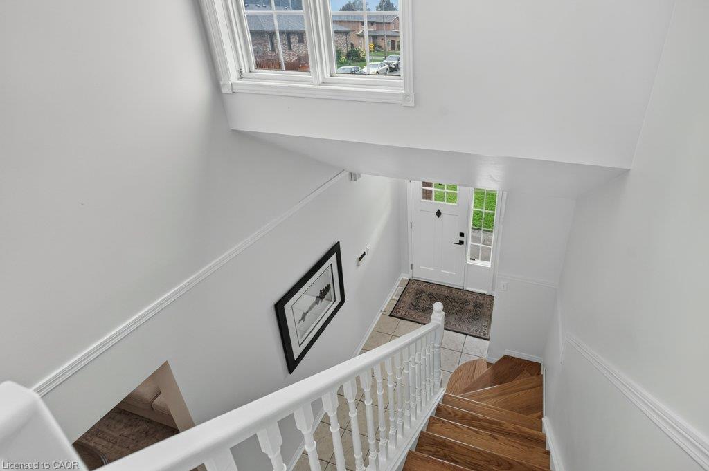 2 Luciano Court Property Photo 22