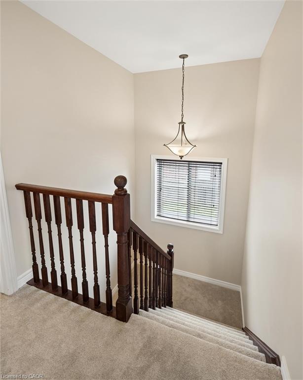 87 Sugar King Drive Property Photo 22
