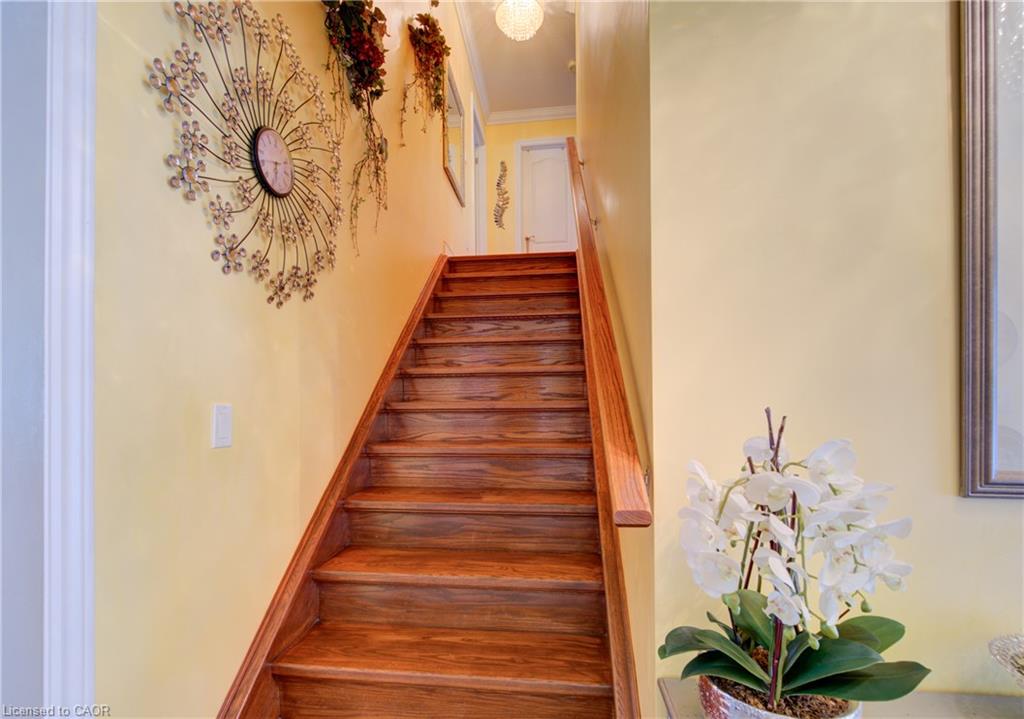 103 Southwood Drive Property Photo 25