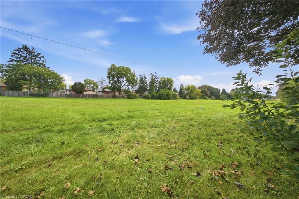 88 Cavehill Crescent Property Photo 24