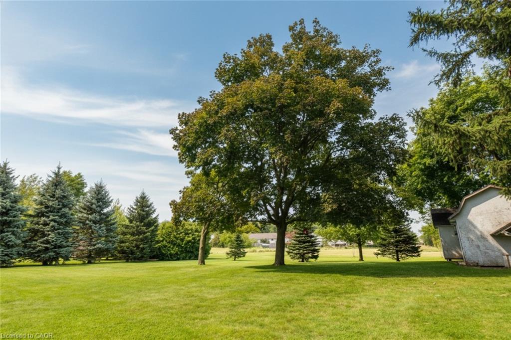2565 Highway 56 Property Photo 48
