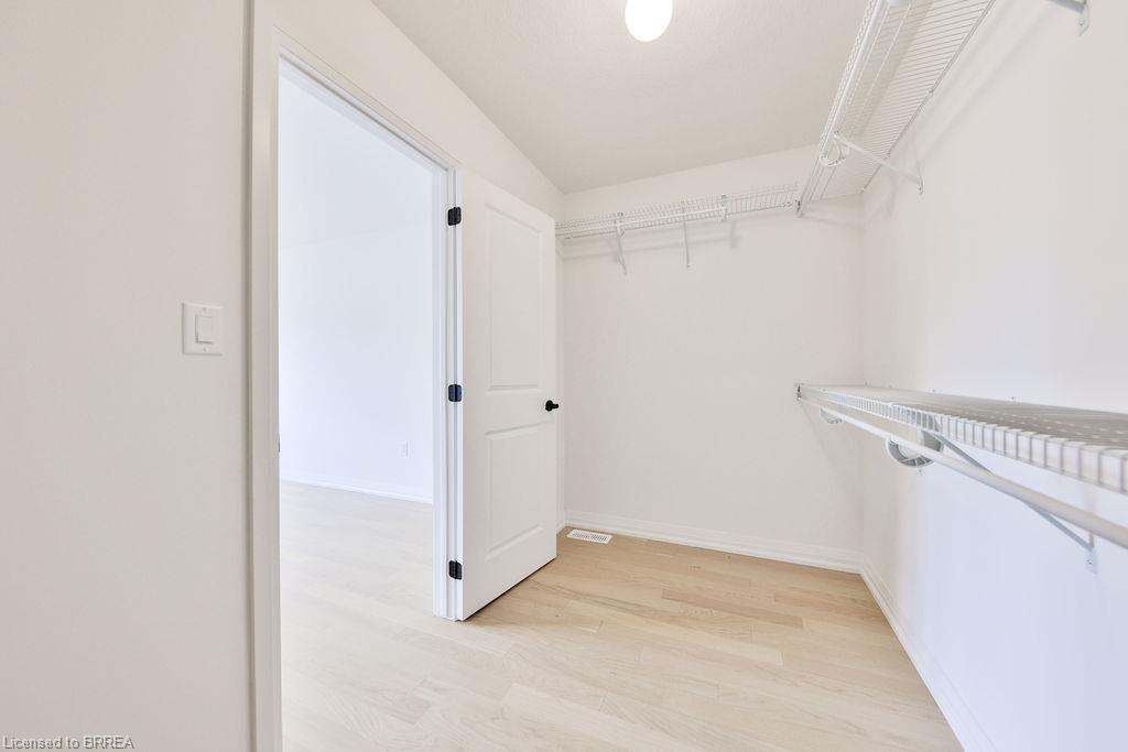 24 Broddy Avenue Property Photo 45