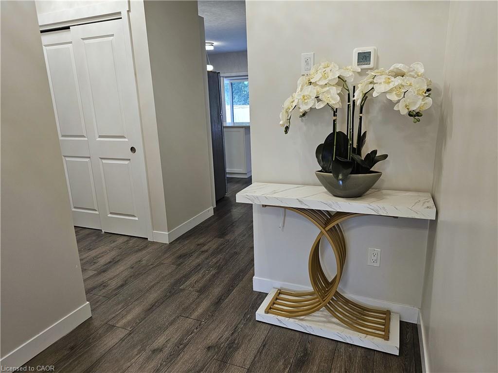 16 Brookfield Lane Property Photo 6