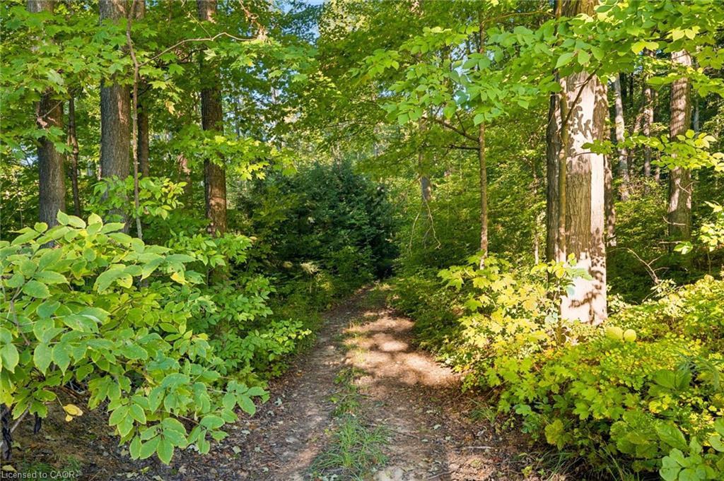 2018 Greenwood Hill Road Property Photo 22