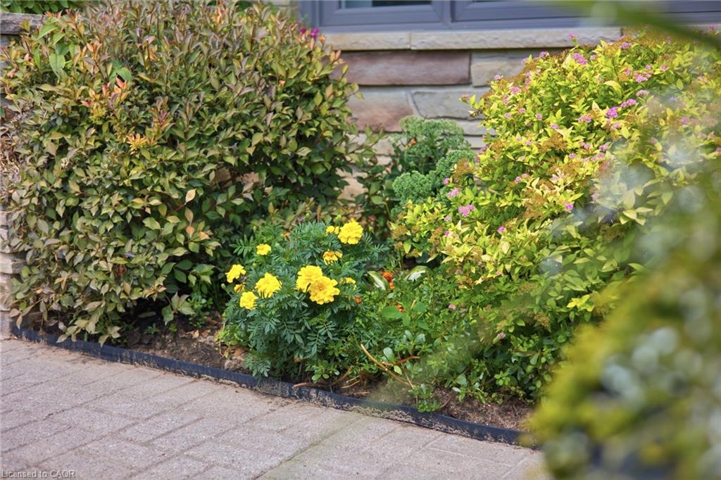 28 Alice Crescent Property Photo 30