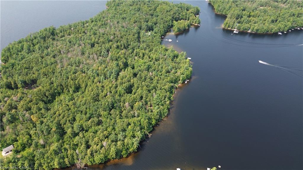 0 Blade Gold Lake Island Property Photo 1