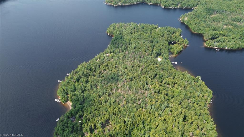 0 Blade Gold Lake Island Property Photo 2