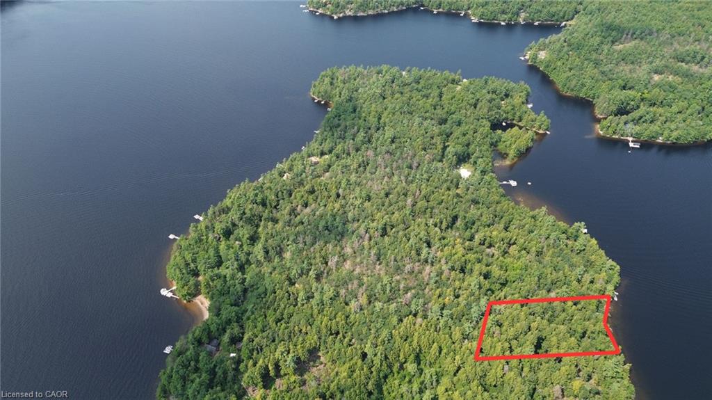 0 Blade Gold Lake Island Property Photo 3