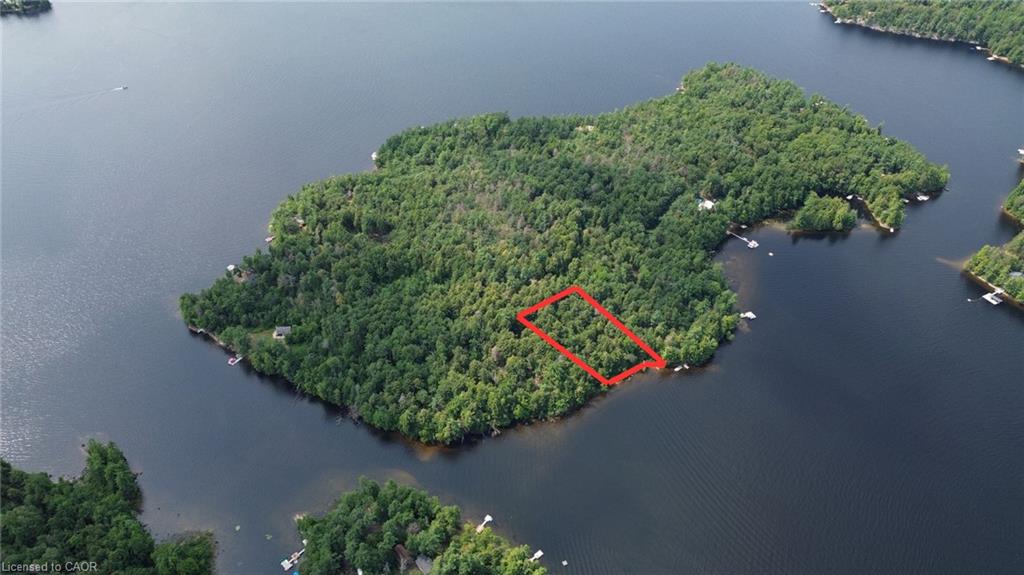 0 Blade Gold Lake Island Property Photo 4
