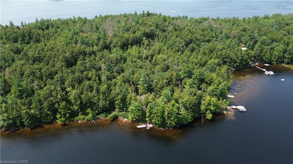 0 Blade Gold Lake Island Property Photo 5