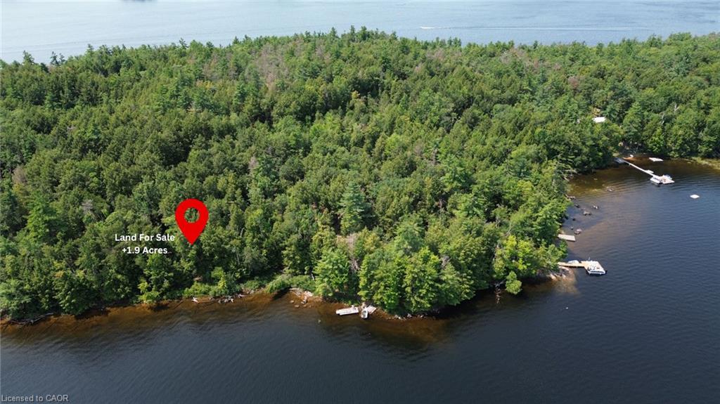 0 Blade Gold Lake Island Property Photo 6