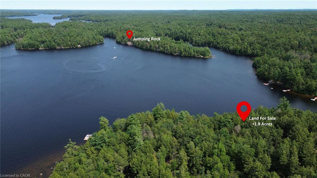 0 Blade Gold Lake Island Property Photo 7