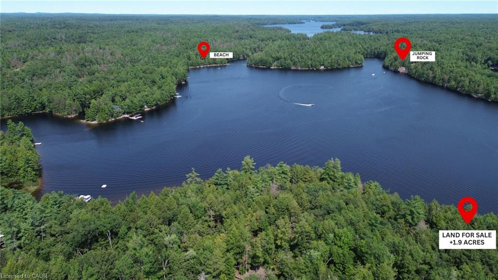 0 Blade Gold Lake Island Property Photo 8