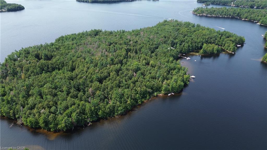 0 Blade Gold Lake Island Property Photo 9