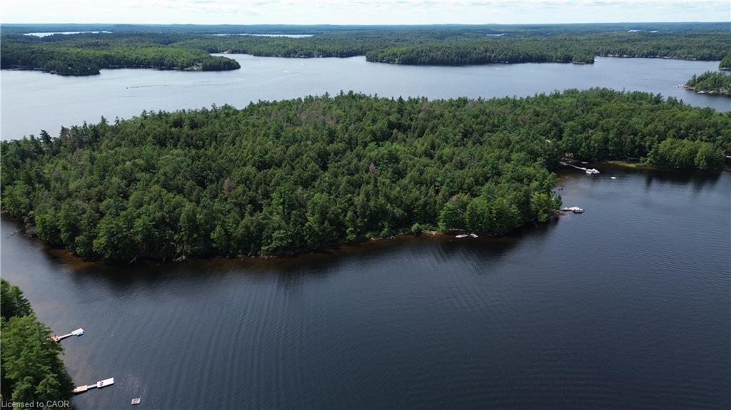0 Blade Gold Lake Island Property Photo 10