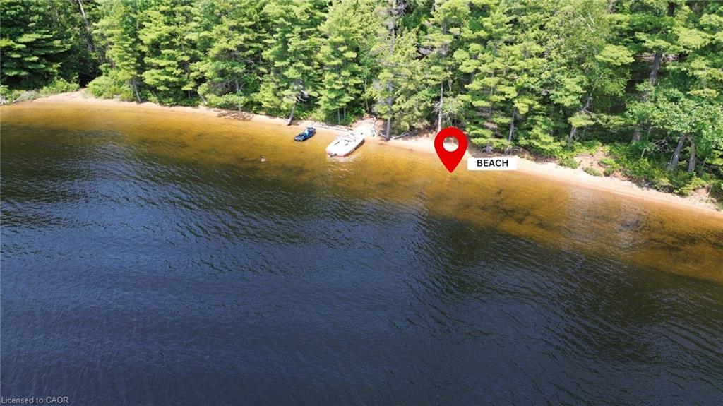 0 Blade Gold Lake Island Property Photo 11