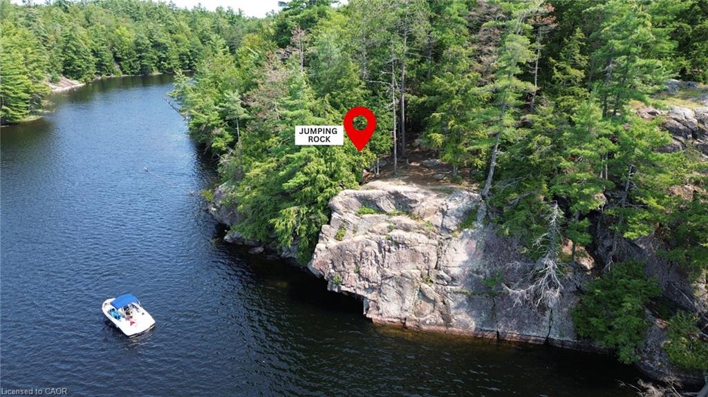 0 Blade Gold Lake Island Property Photo 12