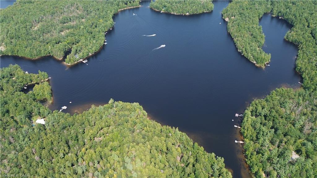 0 Blade Gold Lake Island Property Photo 13
