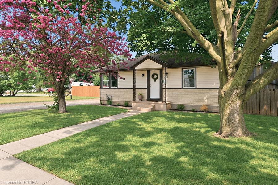 27 Frank Street Property Photo 1