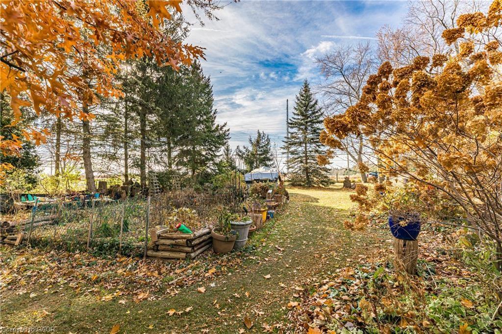 9868 Twenty Road W Property Photo 16