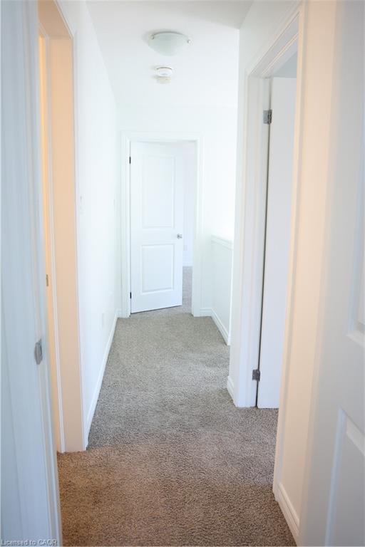15 Sora Lane Property Photo 15