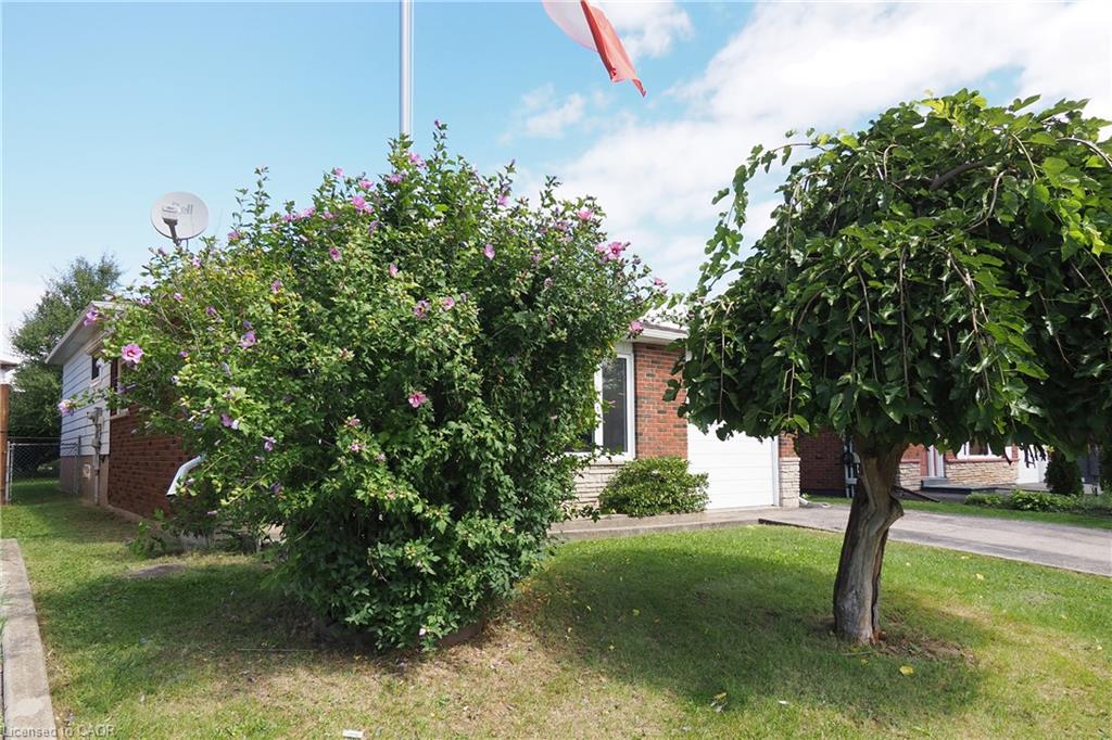 767 Lang's Drive Property Photo 3