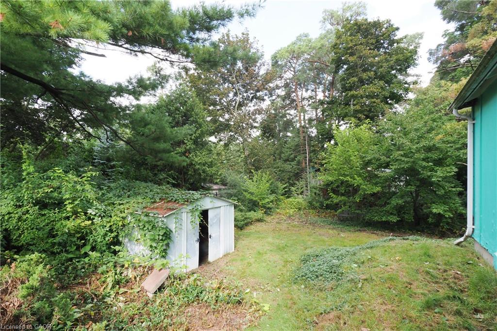 12 Oakwood Avenue Property Photo 31