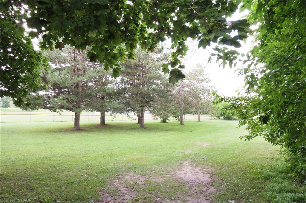 12 Oakwood Avenue Property Photo 39