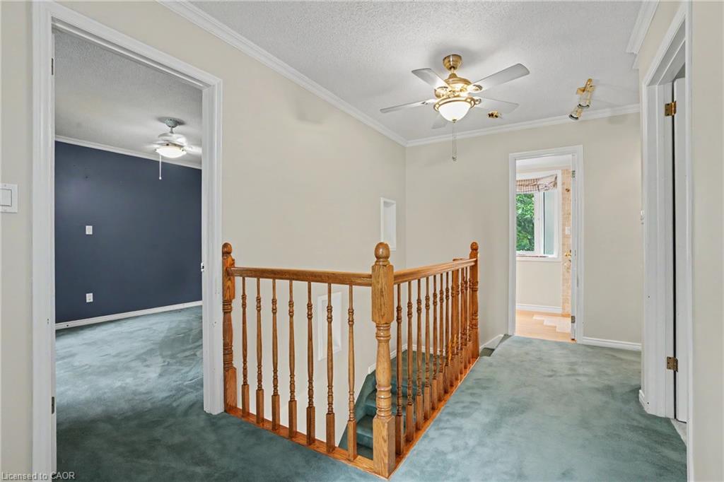21 Farewell Crescent Property Photo 15