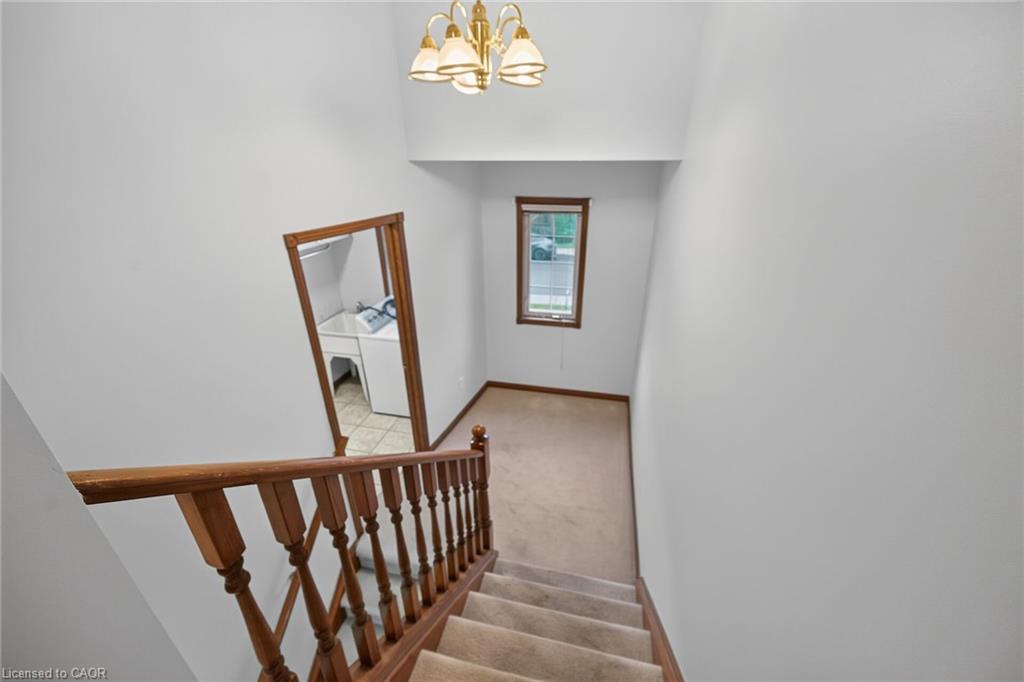 33 Brantdale Avenue Property Photo 36