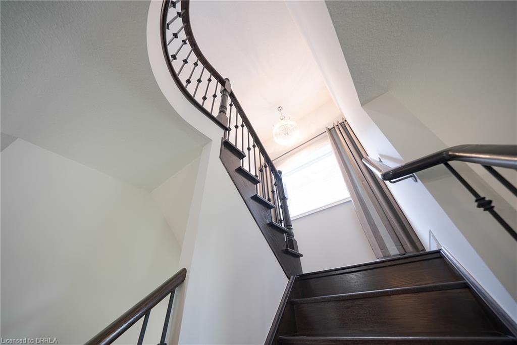 10 Bisset Avenue Property Photo 23