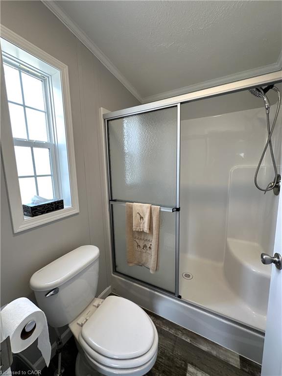 14 Copper Beech Drive Property Photo 28