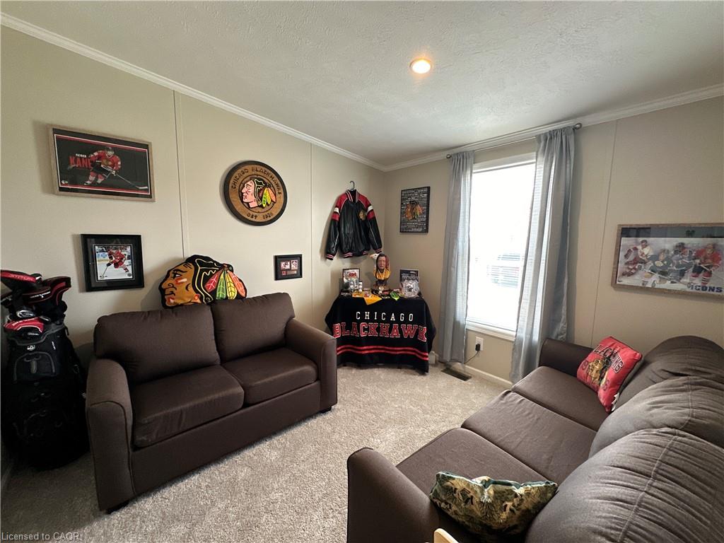 14 Copper Beech Drive Property Photo 29