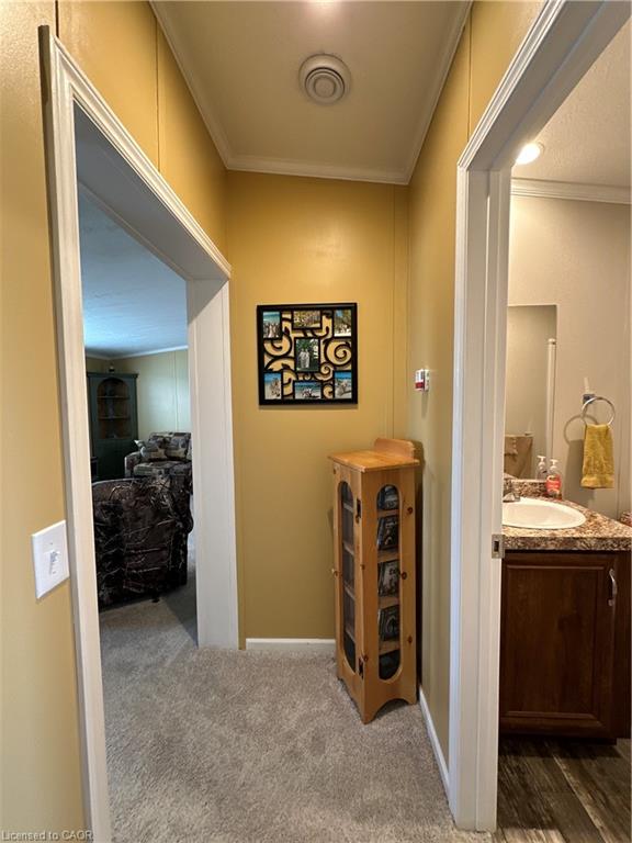 14 Copper Beech Drive Property Photo 35