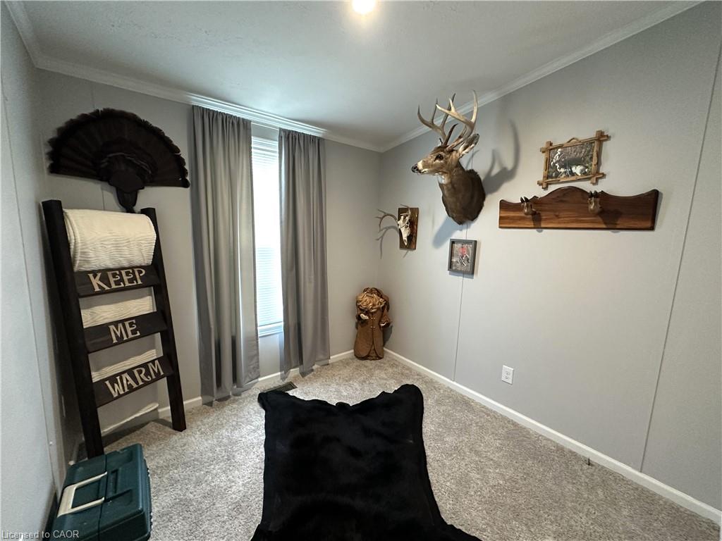 14 Copper Beech Drive Property Photo 36