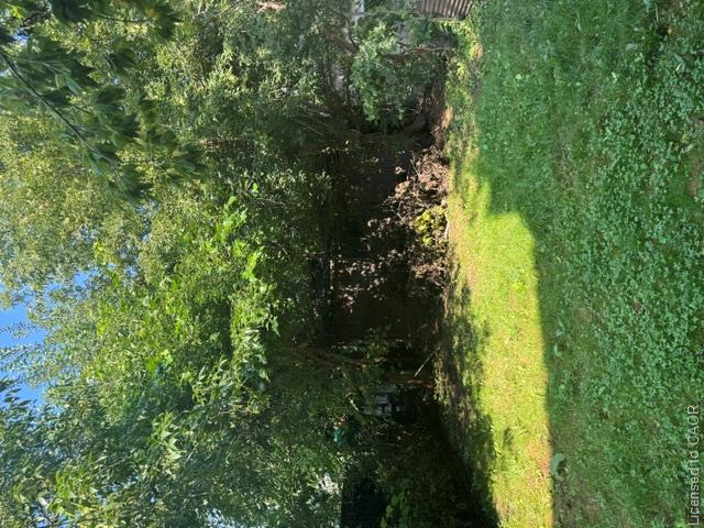 143 Elgin Street Property Photo 26