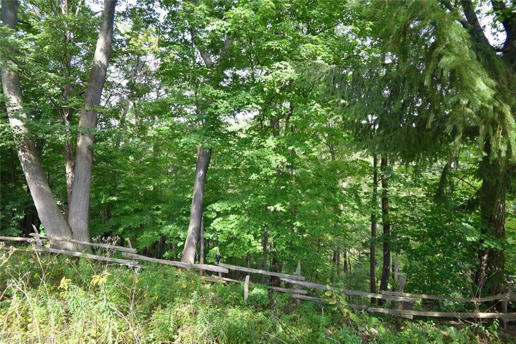781 Oakdale Avenue Property Photo 23