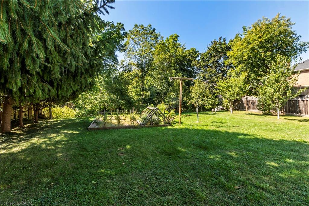 13 Mcmaster Avenue Property Photo 36