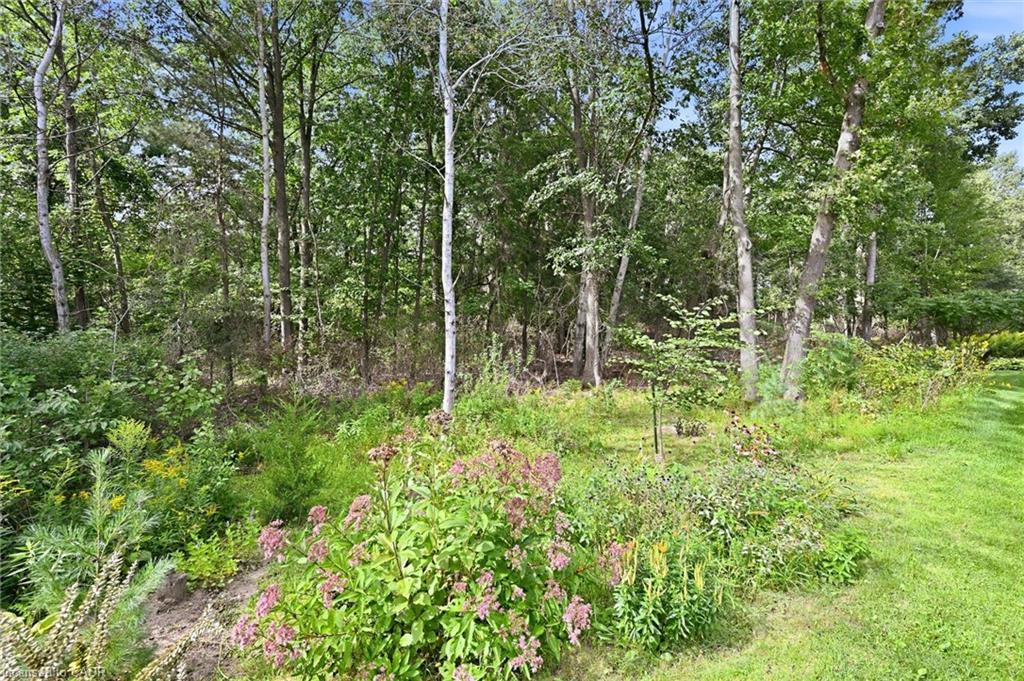 35 Tamarack Way Property Photo 32