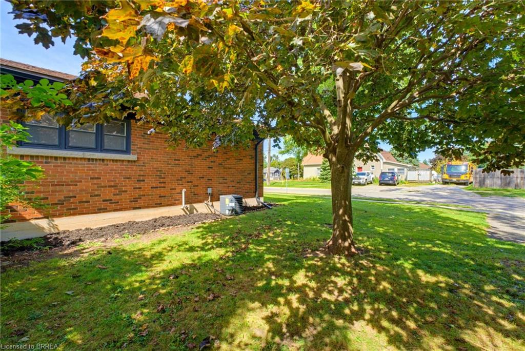 177 North Park Street Property Photo 42