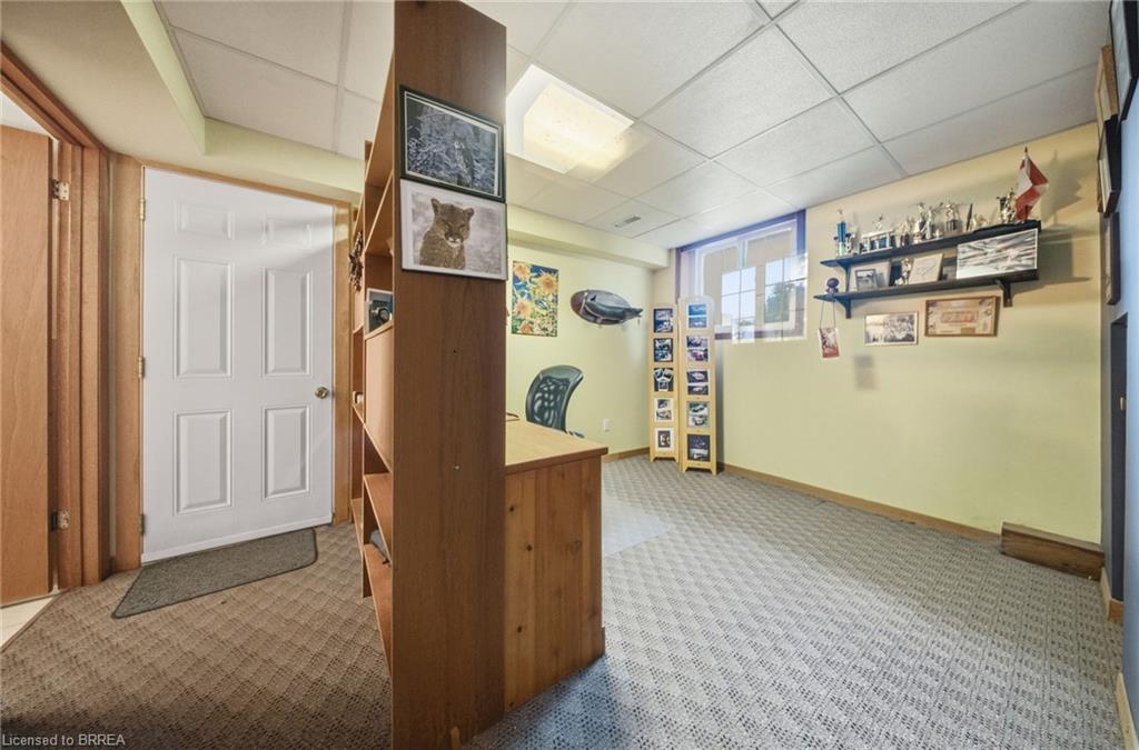 14 Falkland Road Property Photo 24