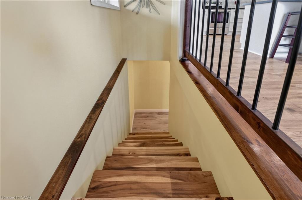 64 Norfolk Avenue Property Photo 25