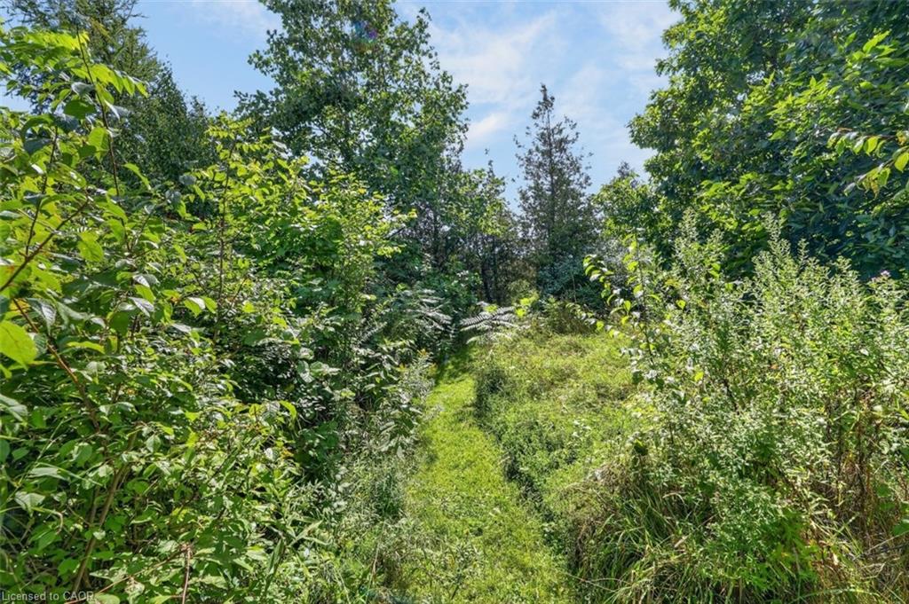 116 Russ Road Property Photo 21