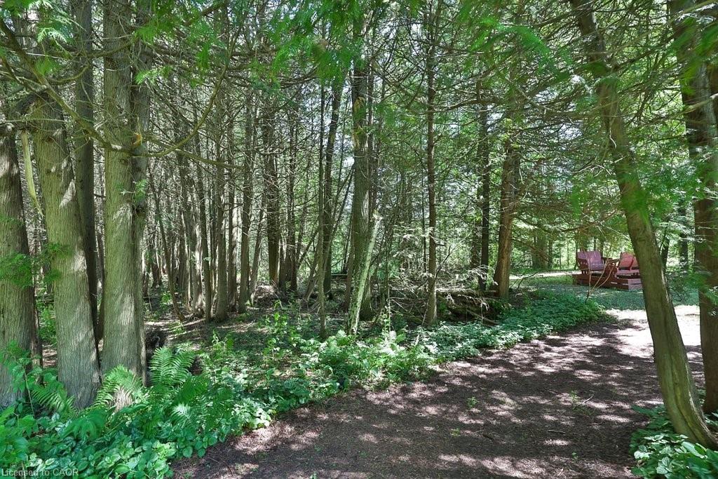19555 Shaws Creek Road Property Photo 47