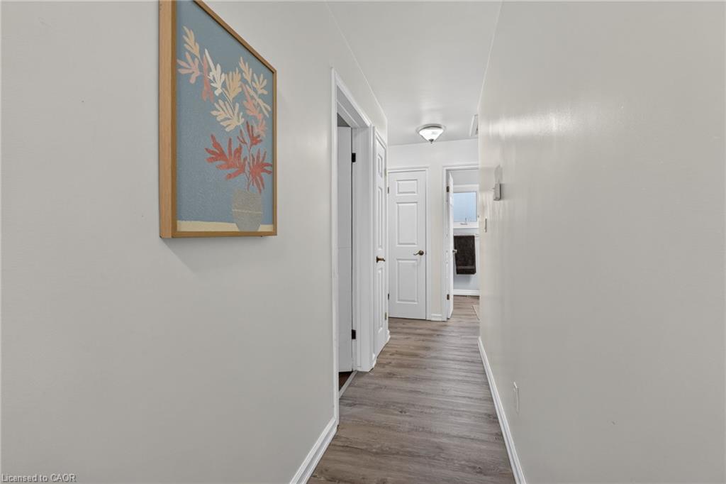 16 Elk Street Property Photo 18