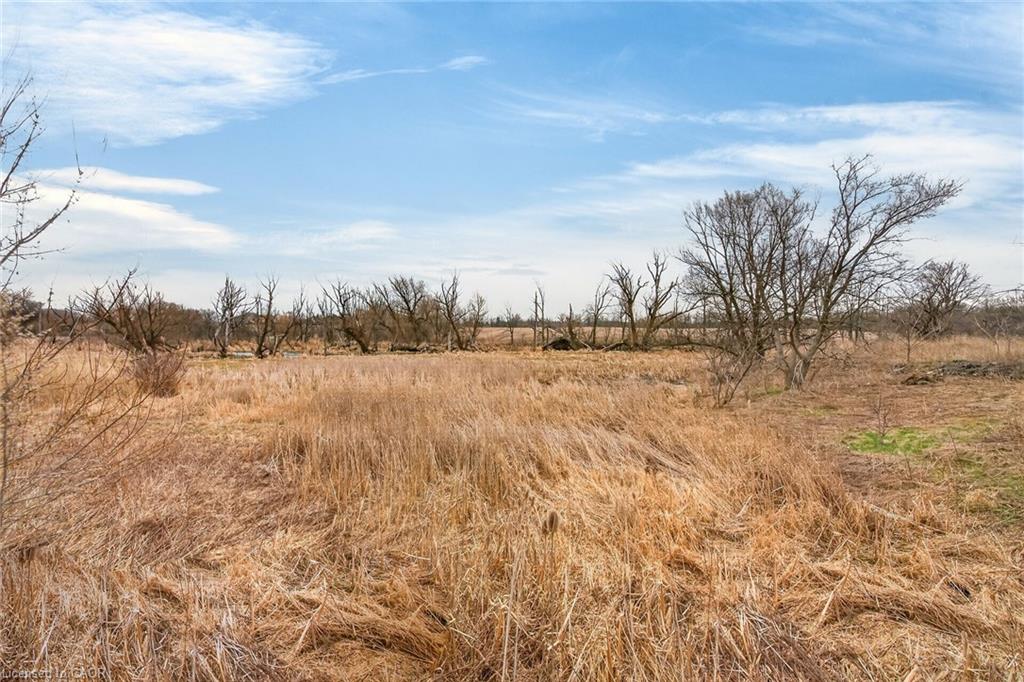 4049 6 Highway Property Photo 34
