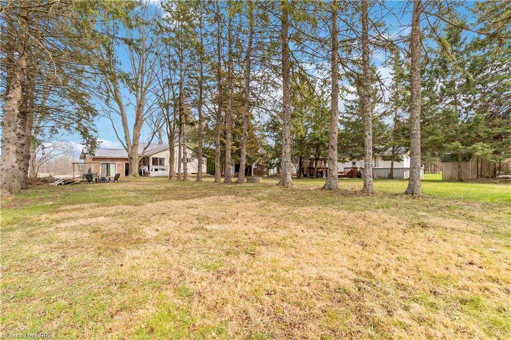 1 Kings Lane Property Photo 38