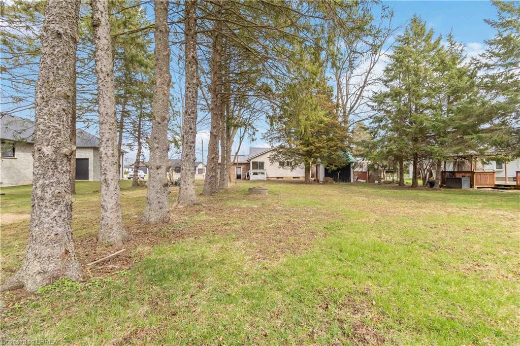 1 Kings Lane Property Photo 39