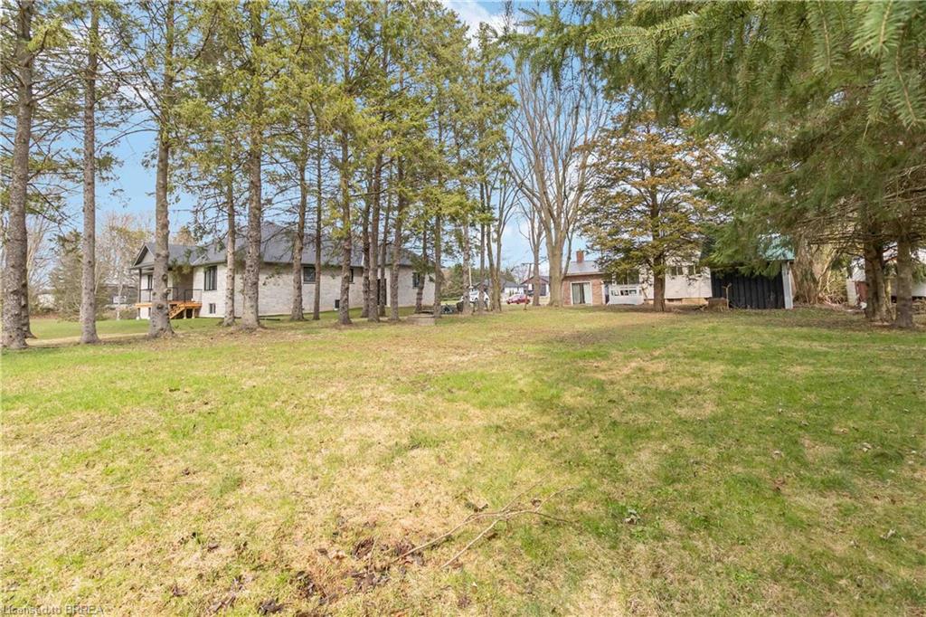 1 Kings Lane Property Photo 40