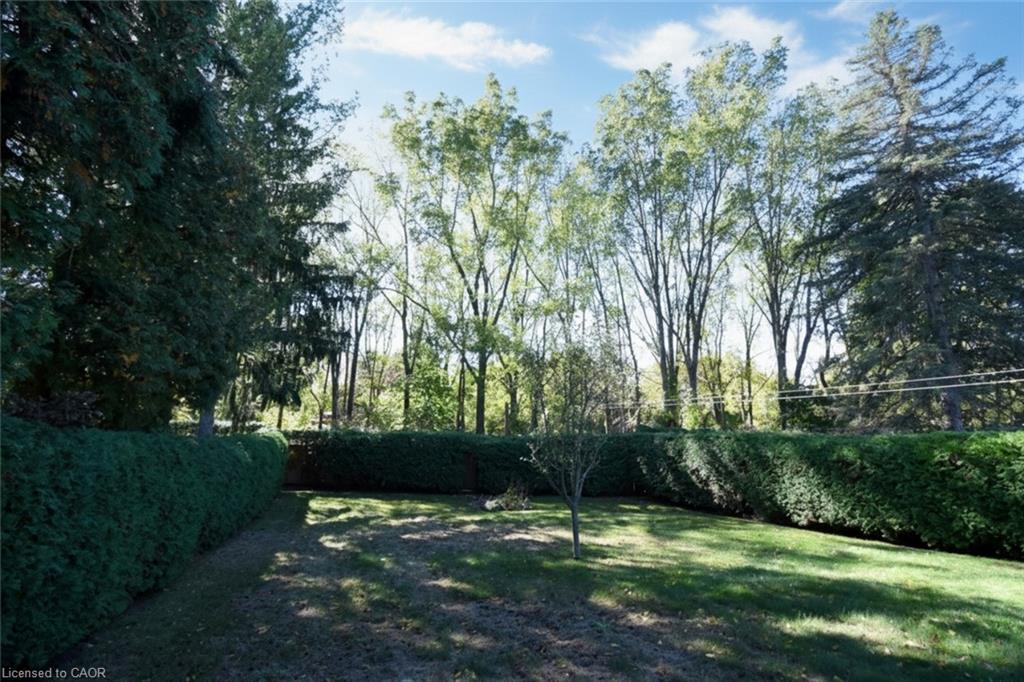 5 Rogers Road Property Photo 6